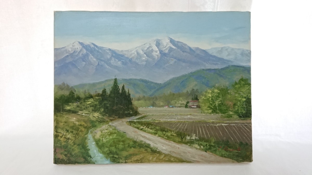 美品】風景画 油彩画 アルプス山脈 滝 作者サイン入り オーダー一点物