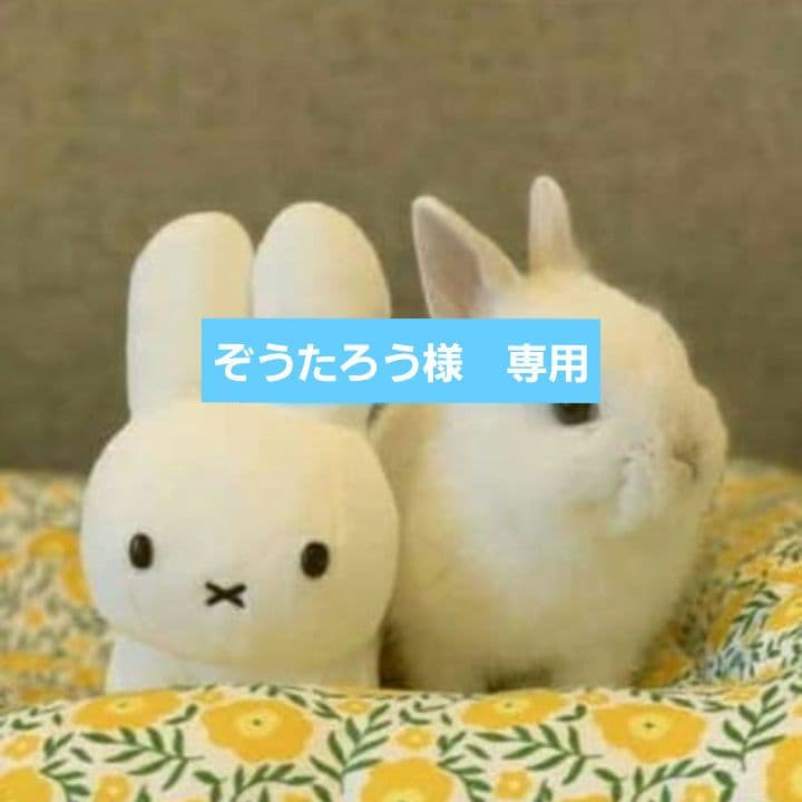 ぞうたろう